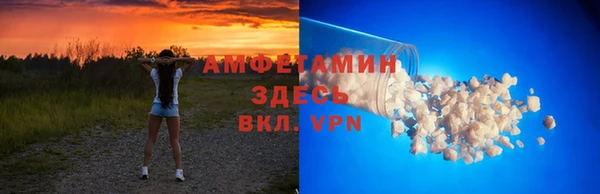 сатива Туринск