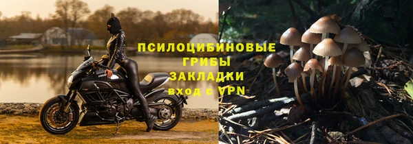 эйфоретик Алзамай