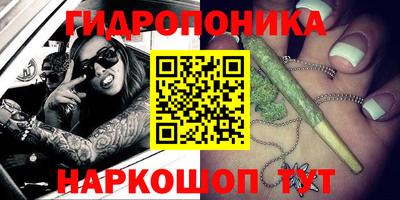 PSILOCYBIN Краснознаменск