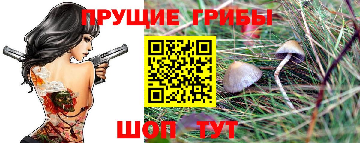 Галлюциногенные грибы прущие грибы Каменск-Уральский